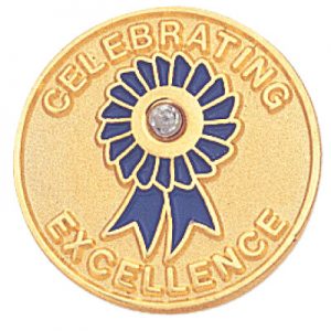 Celebrating Excellence Awards Pin