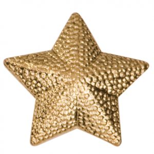 Star Pins